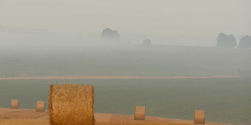 兰森切割：数控技术如何重塑切割设备85的行业标准