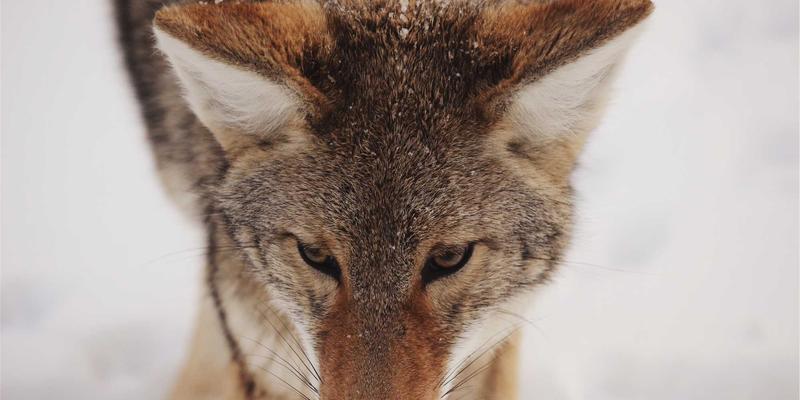 切割设备40的革新：激光切割机与兰森切割的数控技术解析