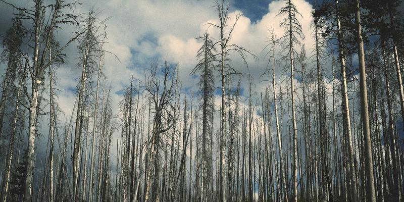 切割设备69：水刀、等离子与金属加工技术的革新与应用