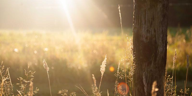 切割设备97：激光、等离子与兰森切割技术深度解析与应用指南