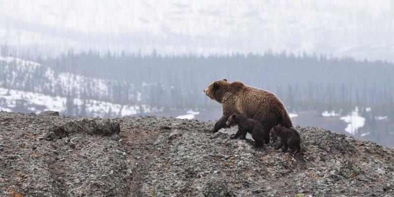 数控火焰切割、水刀切割与激光切割机：重型机械制造的三大关键技术解析